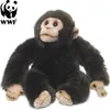 WWF - Peluche - Chimpanzé (23cm) réaliste Peluche singe en Voir les images du produit 1