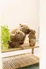 Nici 61223 Kuscheltier Capy-Barbara Capy-Barbara 27cm Podgląd zdjęcia produktu 10
