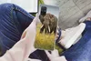MuchoWow® Handyhülle Schutzhülle Hülle für Samsung Galaxy Produktbild-Vorschau 3