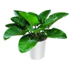 Blumentopf Dekotopf Runder Topf 30 cm Urbi Pflanztopf Für Produktbild-Vorschau 18