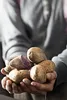 Ryžovač zemiakov Rösle Náhľad obrázku produktu 4