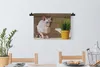 MuchoWow® Wandteppich Wandbehang Sphynx mit grünen Augen Produktbild-Vorschau 3