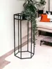 A black metal plant stand with a trailing plant on it, placed on a white rug next to a couch. Produktbild-Vorschau