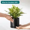 Pot de fleurs en faïence vancasso, lot de 3 pots avec Voir les images du produit 5