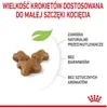 Marketing image for Royal Canin Feline Kitten food, showing kibble and highlighting features. Produktbild-Vorschau