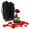 Rose im Glas - leuchtend Malatec 21619 Produktbild-Vorschau 9