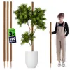 KADAX Kokosstab 150cm für Zimmerpflanzen, 3 Stück, Produktbild-Vorschau 1
