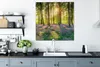 MuchoWow® - Leinwandbilder - Frühling - Wald - Sonne, Produktbild-Vorschau 4