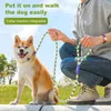 Robuste Schlupfleine für Hunde mit bequemem, gepolstertem Produktbild-Vorschau 4