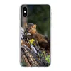 MuchoWow® Handyhülle Schutzhülle Hülle für iPhone Xs Marder Produktbild-Vorschau 1