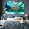 MuchoWow® Poster Pool - Hund - Wasser 180x120 cm - Produktbild-Vorschau 4