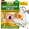 Collage of marketing material for a pest trap, featuring text, graphics, and images of food ingredients and the product. Produktbild-Vorschau