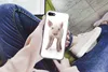 MuchoWow® Handyhülle Schutzhülle Hülle für iPhone 7 Schwein Produktbild-Vorschau 3