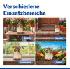 Maximex Solar Gartenfigur Eule Mod. Blinky Eyes mit LED Produktbild-Vorschau 10