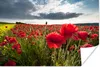 MuchoWow® Poster Mohnblumen gegen einen dramatischen Produktbild-Vorschau 1