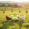 Agrarzone Futterautomat Hühner mit Regenschutz 4 kg Produktbild-Vorschau 7