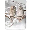 Two owls sitting on a snow-covered branch in a winter setting. Produktbild-Vorschau
