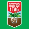 Roundup Unkrautfrei TOTAL, 3 L Sprühflasche Produktbild-Vorschau 8