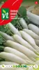Radieschen Eiszapfen Samen - Ca. 8 gr | VT_599 Produktbild-Vorschau 1
