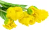 Tulips Papulopsy Bunch Künstliche Blumen Gummiert 5St. Wie Produktbild-Vorschau 4
