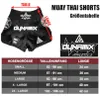 Dynamix Athletics Muay Thai Shorts Warpath Schwarz (XXL) Produktbild-Vorschau 4