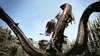 Capcom Dragon's Dogma : Dark Arisen, Nintendo Switch, Produktbild-Vorschau 3