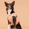 PAIKKA Hunde Kühlweste "Cool Vest" pfirsich, Größe: M Produktbild-Vorschau 2