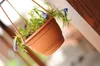 Květináč  AGRO zavěsný s hákem 18 cm - barva: terakota Voir les images du produit 4