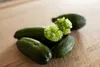 Kaviarlimette 65 - 75 cm | grüner Kaviar | Zitrusbaum | Produktbild-Vorschau 2
