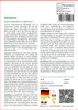 SAFLAX - Edelweiss - Leontopodium alpinum - 500 Samen Produktbild-Vorschau 3