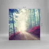 Bilder auf glas - Wald Baum Natur - 50x50cm - Glasbilder - Produktbild-Vorschau 3