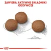 Three pieces of dog food are shown on a white background with a sketch of a line connecting them and some text above. Náhľad obrázku produktu