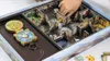 Ravensburger 22093 Cattura Hubi! Anteprima dell’immagine prodotto 18