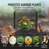 SucceBuy Lot de 10 protections pour plantes, cages Voir les images du produit 6