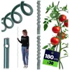 Tuteurs en spirale pour tomates KADAX 180 cm x 6 mm, lot de Voir les images du produit 1