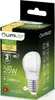 6x Żarówka LED E27 Kulka P45 2,5W = 25W 249lm 3000K Ciepła Podgląd zdjęcia produktu 4