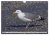Nordseeinsel Amrum (Wandkalender 2027 DIN A4 quer), Produktbild-Vorschau 4