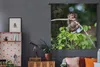 MuchoWow® Wandteppich Wandbehang Baby - Affe - Äste 120x120 Produktbild-Vorschau 5