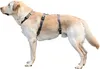 Kerbl Hundegeschirr Panikgeschirr, grau, Halsumfang 38-52 Produktbild-Vorschau 3