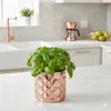 Keramik Blumentopf übertopf mit Roségold Spiegeleffekt Produktbild-Vorschau 4