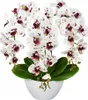 Künstliche Orchidee Weiß-Bordeaux – 3-triebig, Produktbild-Vorschau 1
