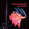Paranoid (Lp+Cd,180g) (Vinyl) Voir les images du produit 1