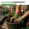 Stockrosen Prachtmischung Samen - Alcea rosea - Rosensamen Produktbild-Vorschau 5