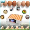 A collage showing an egg incubator with various eggs and hatched animals, including chicks, ducklings, a pigeon, geese, lovebirds, and a tortoise. Náhľad obrázku produktu