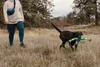 Ruffwear Pacific Loop Spielzeug Aurora Teal Produktbild-Vorschau 5
