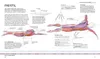Schwimmen - Die Anatomie verstehen Produktbild-Vorschau 6
