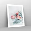 Poster - Poster ohne Rahmen - Blume Eukalyptus Australier - Produktbild-Vorschau 7