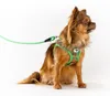 Curli Stretch Comfort Leine Saisonartikel 2021 Green M Voir les images du produit 2