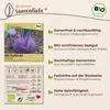 Samenliebe  Kohlrabi Samen | Azur Star - violett - Produktbild-Vorschau 3