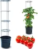 A product image showing a tomato planter with a tomato plant and a separate planter with a tomato plant support structure, along with a bunch of tomatoes. Náhľad obrázku produktu